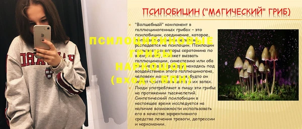 экстази Алексин