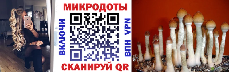 это состав Асбест Галлюциногенные грибы мухоморы