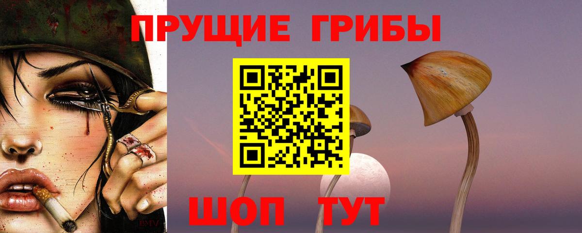 Галлюциногенные грибы MAGIC MUSHROOMS Асбест